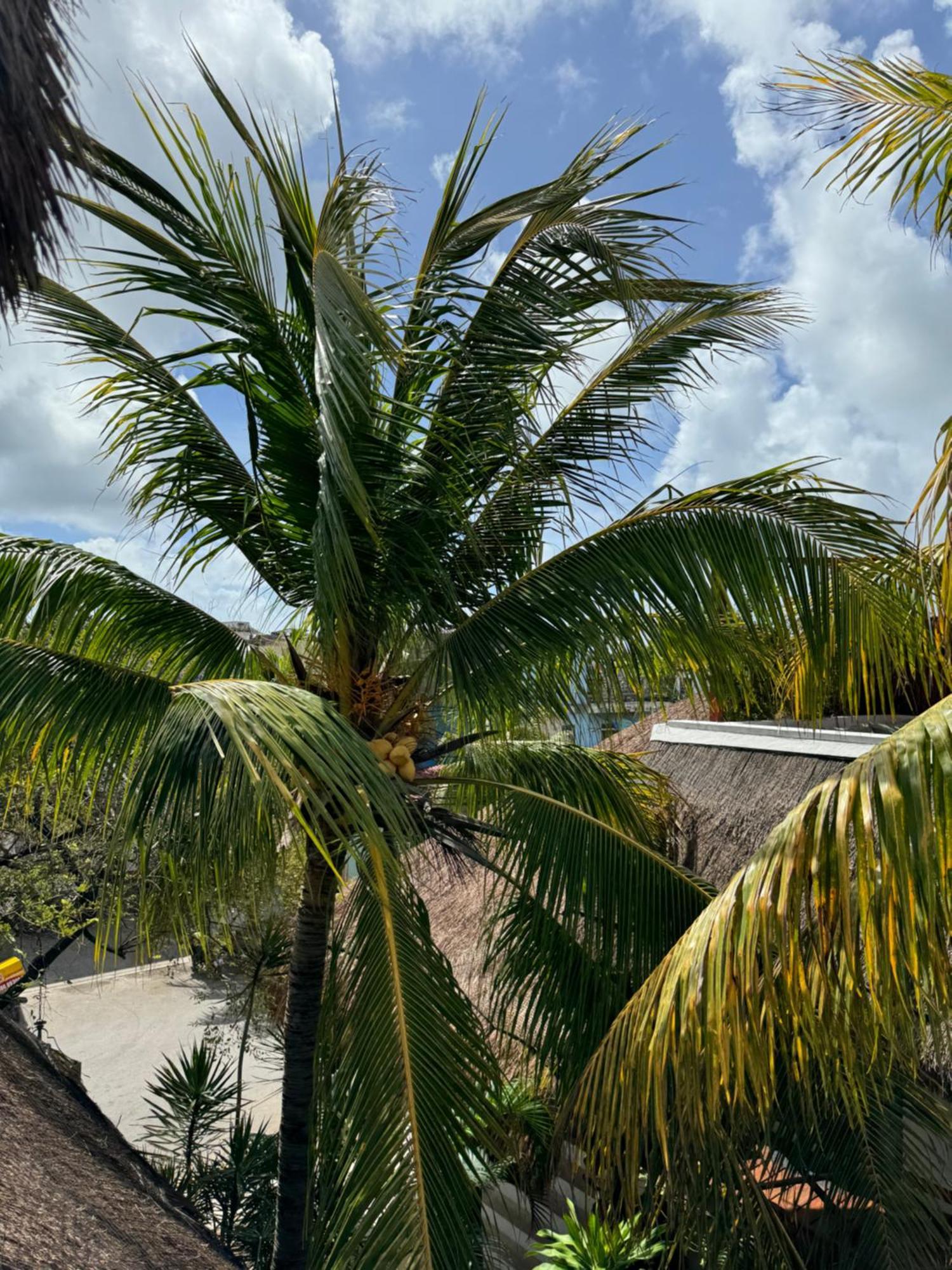 Kin Ha Tulum Hotel Zewnętrze zdjęcie
