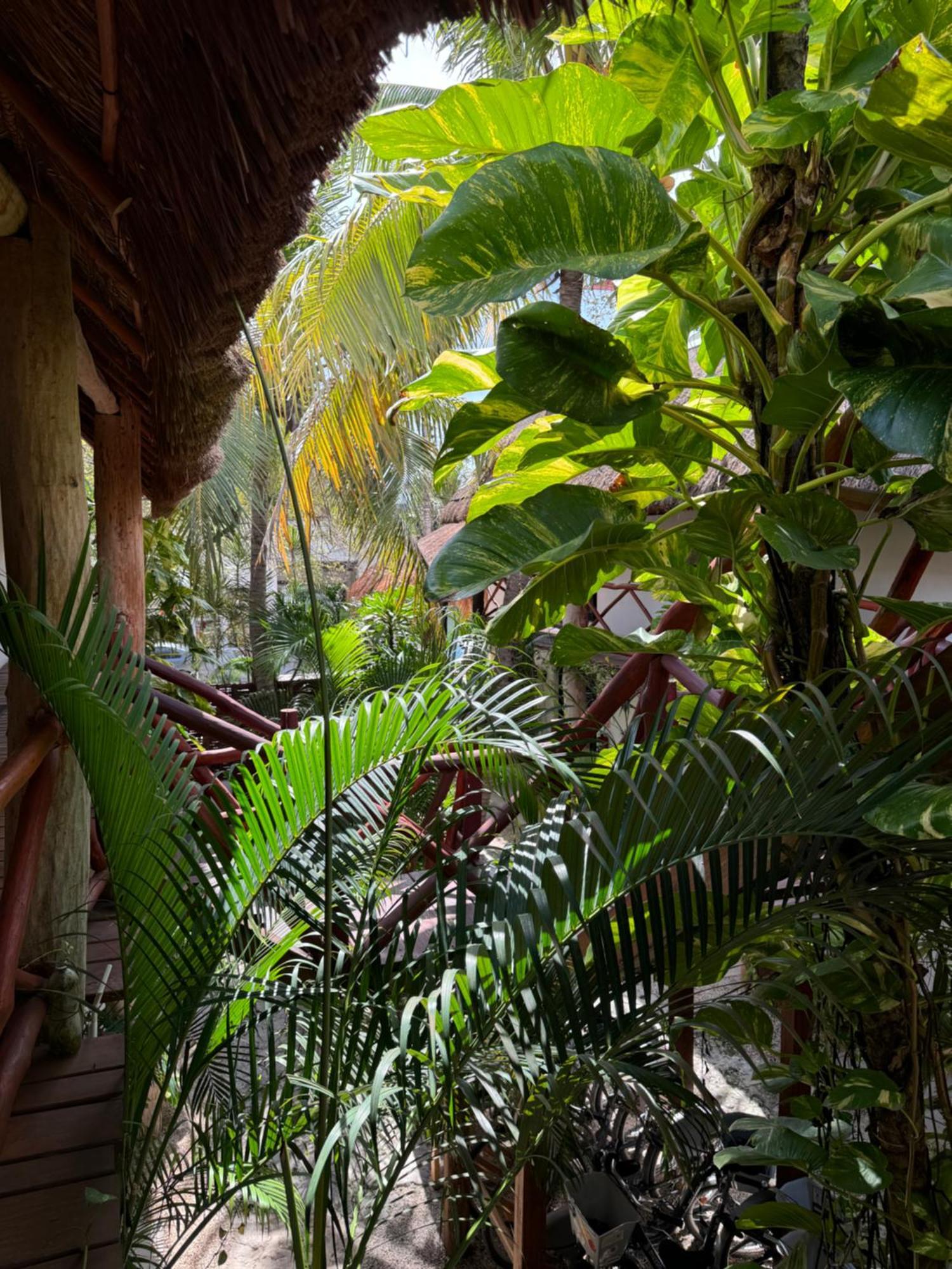 Kin Ha Tulum Hotel Zewnętrze zdjęcie