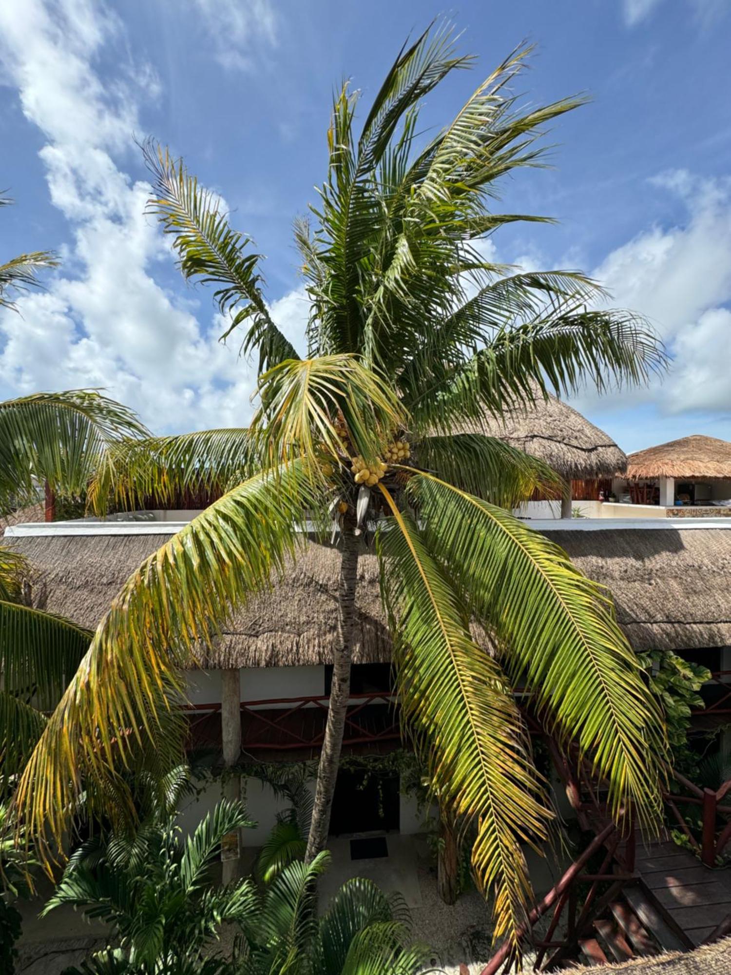 Kin Ha Tulum Hotel Zewnętrze zdjęcie